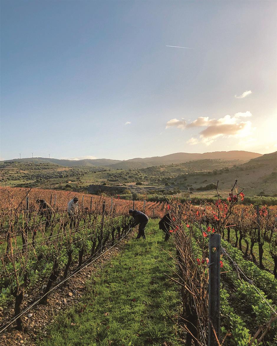 Keeping fit the Sardinian way